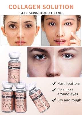 OEM/OBM Stalidearm Skin Care Essence Collagen Anti Wrinkle Hydrating Face Serum Nhãn nhãn riêng