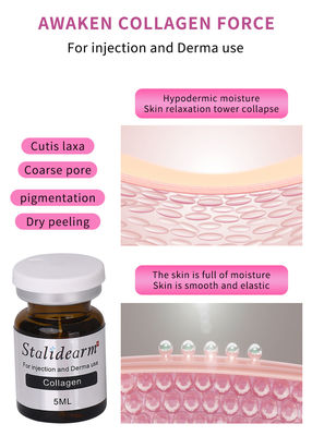 Tiểu niên Collagen Mesotherapy Serum Set 5ml Tiêm chống lão hóa Tiêm Fillers da