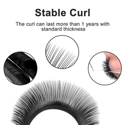 Sản phẩm sẵn dễ dàng lắp đặt khối lượng 8-15mm Lashes mềm tự nhiên dày đặc lông mi giả 12 hàng