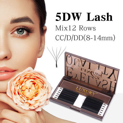 8-14mm Nhóm lông mi giả CC/D/DD Curling Volume Eyelash Extension Double Tips Cashmere YY Lash Extension