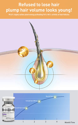 Thảo dược điều trị mọc lại tóc tự nhiên 10ml Nhãn riêng tùy chỉnh