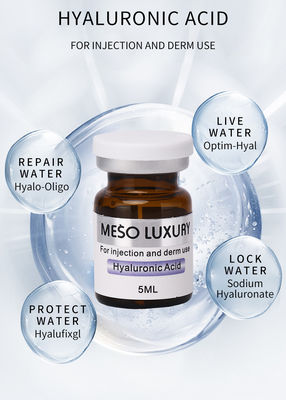 Nhãn hiệu riêng Thuốc tiêm huyết thanh axit hyaluronic dưỡng ẩm Thuốc tiêm Mesotherapy sang trọng cho khuôn mặt trẻ trung hơn