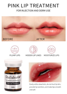 Bán buôn Stalidearm Thương hiệu ban đầu Pink Lip Treatment Tiêm Serum Tinh chất An toàn Meso Therapy Set 5 cái / bộ