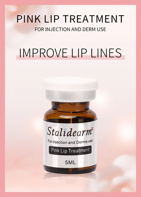 Bán buôn Stalidearm Thương hiệu ban đầu Pink Lip Treatment Tiêm Serum Tinh chất An toàn Meso Therapy Set 5 cái / bộ